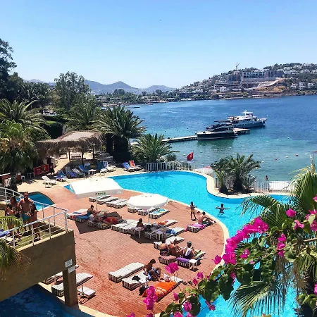 Tilkicik Caddesi Daire Bodrum