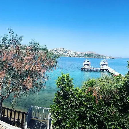 Tilkicik Caddesi Daire * Bodrum
